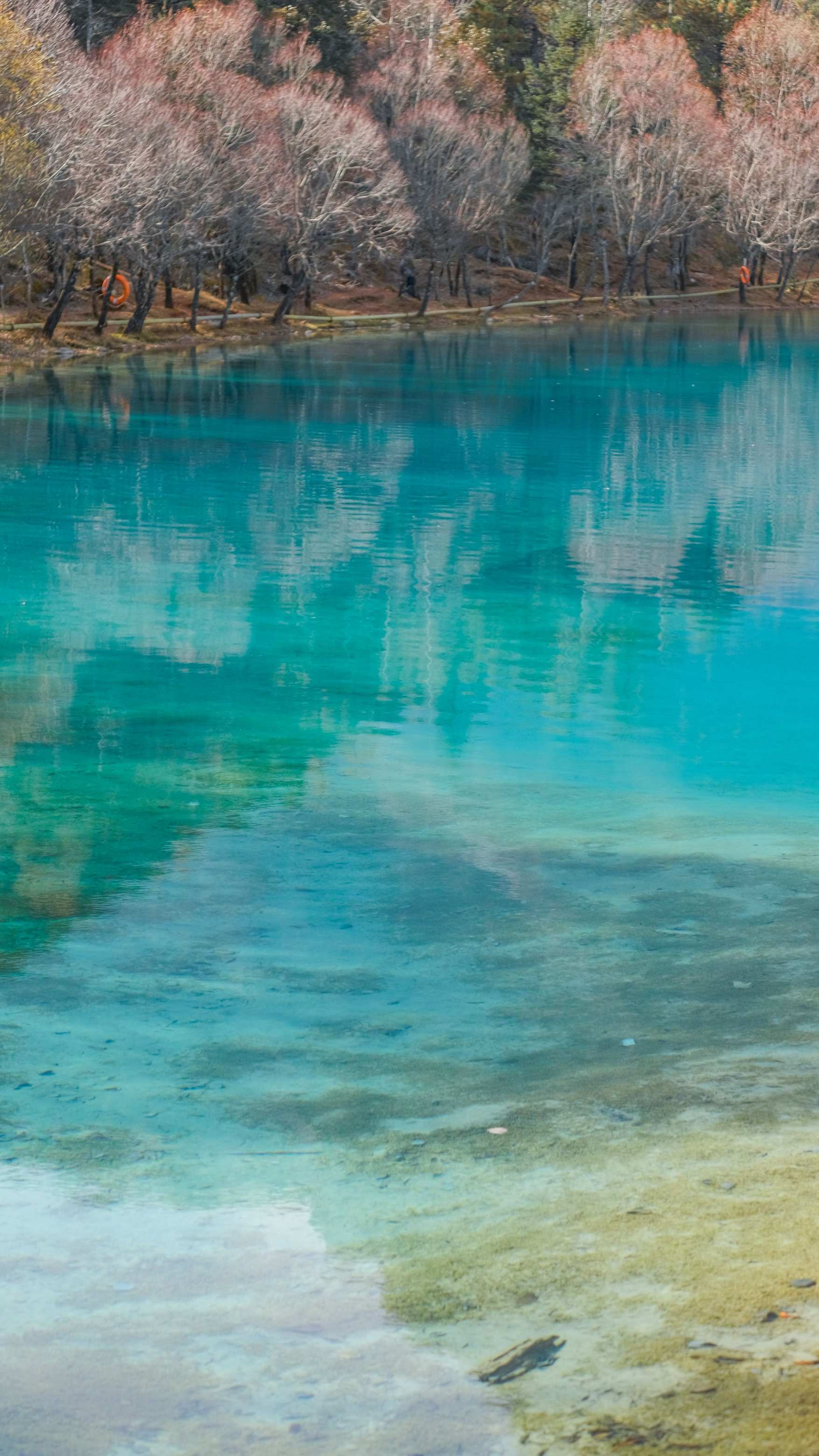 Turquoise lake and waterfall in Jiuzhaigou Valley, Sichuan, China